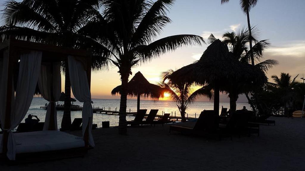 Cadaques Caribe Pez 103 Daire Bayahibe Dış mekan fotoğraf