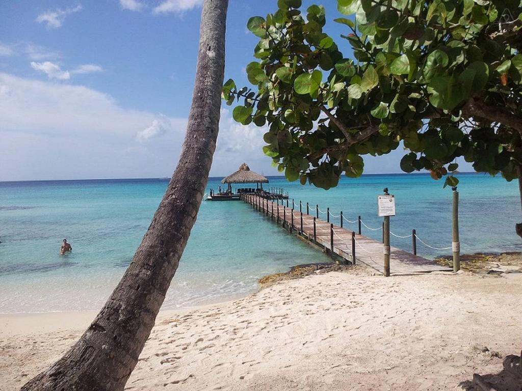 Cadaques Caribe Pez 103 Daire Bayahibe Oda fotoğraf