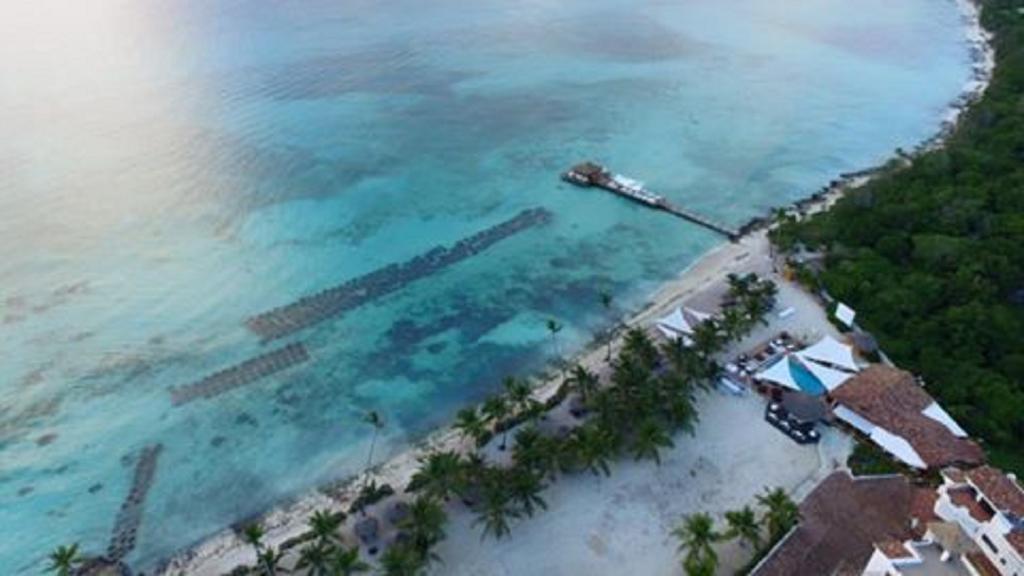 Cadaques Caribe Pez 103 Daire Bayahibe Dış mekan fotoğraf