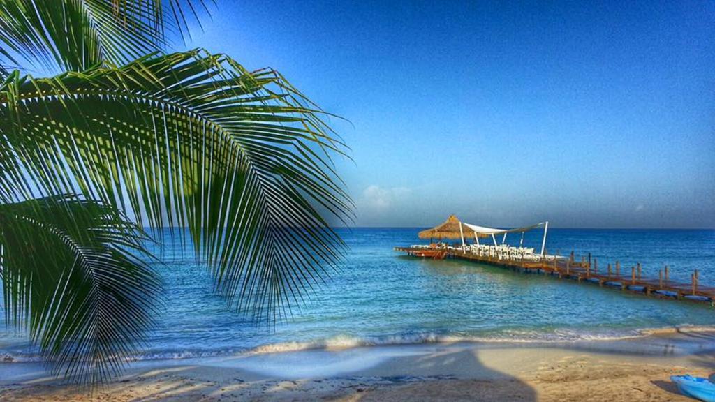 Cadaques Caribe Pez 103 Daire Bayahibe Dış mekan fotoğraf