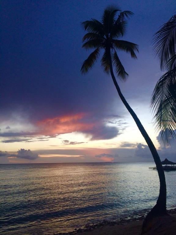 Cadaques Caribe Pez 103 Daire Bayahibe Dış mekan fotoğraf