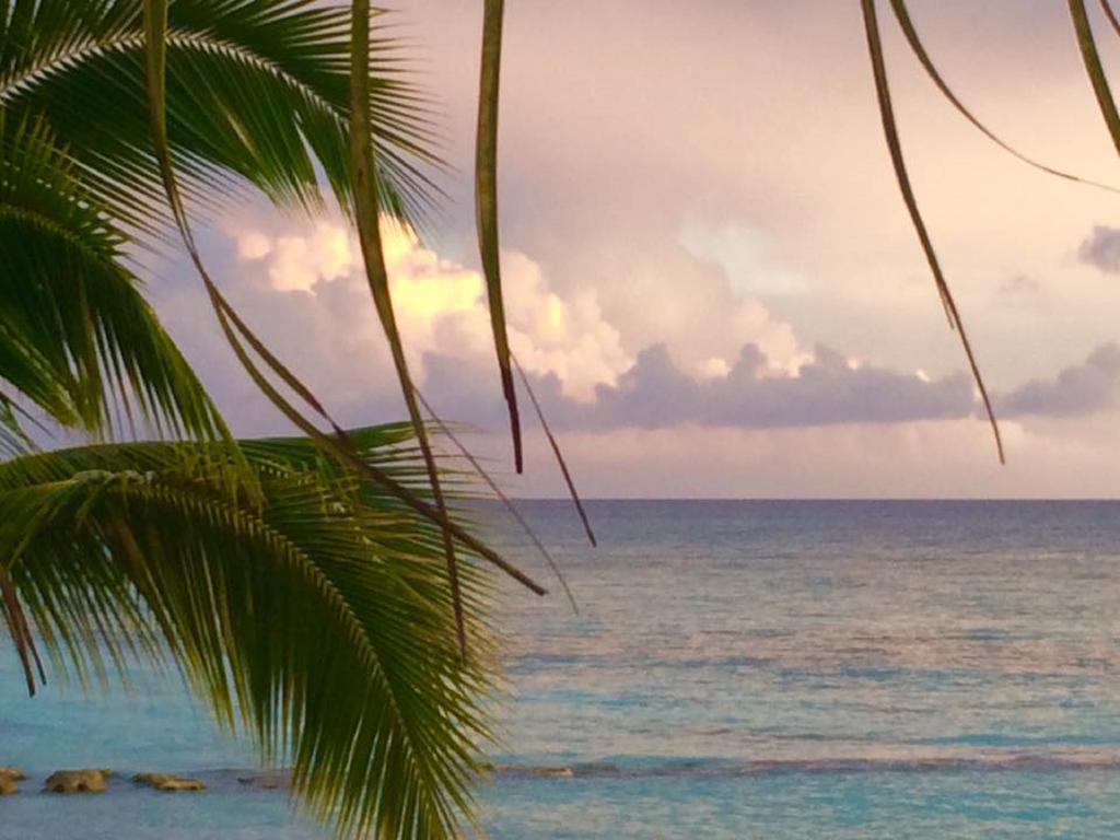 Cadaques Caribe Pez 103 Daire Bayahibe Dış mekan fotoğraf
